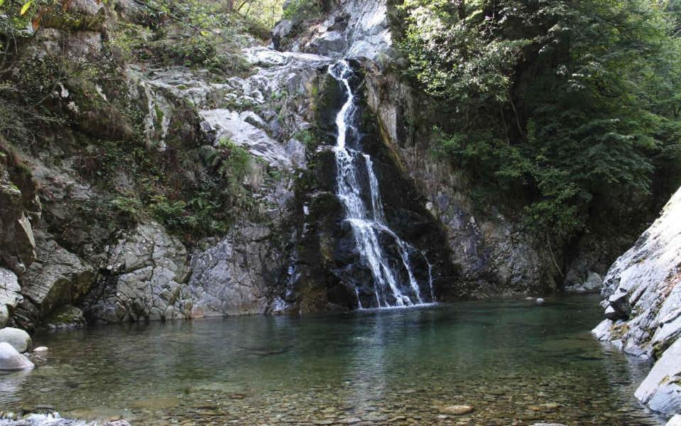 B&B Villa Tavallini Pollone Kültér fotó