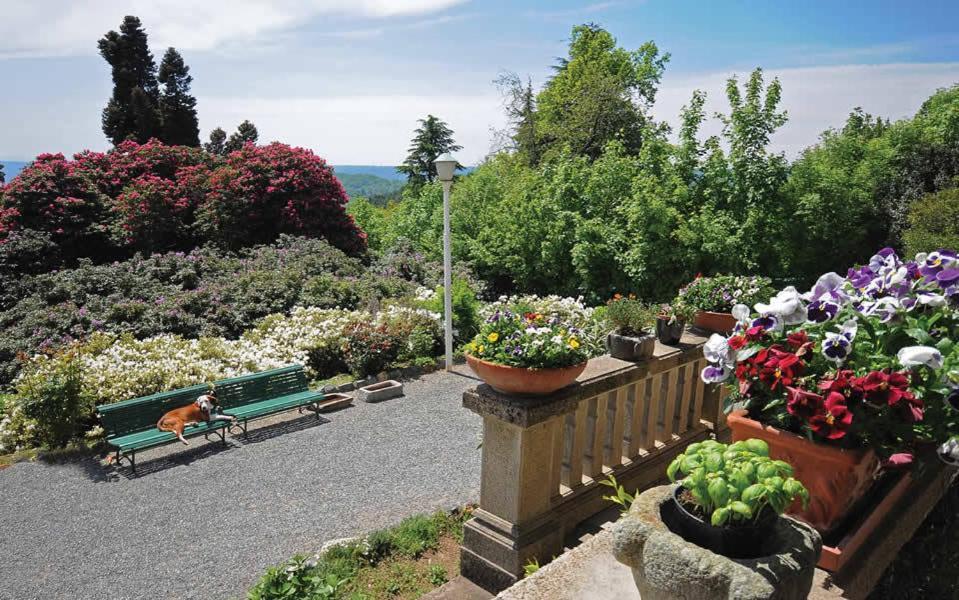 B&B Villa Tavallini Pollone Kültér fotó